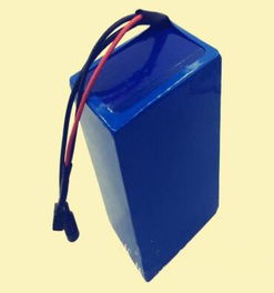 電動車鋰電池36v 12ah 兩輪電動車電瓶,電動車鋰電池36v 12ah 兩輪電動車電瓶生產廠家,電動車鋰電池36v 12ah 兩輪電動車電瓶價格