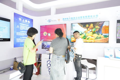 貴州電子商務云 學經(jīng)驗 覓商機 參展服貿(mào)會收獲頗豐
